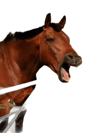 Gestión-Chile_Zacarías Erimías Imágenes varias para SDO_600x350 - Gestión-Chile_Zacarías Erimías