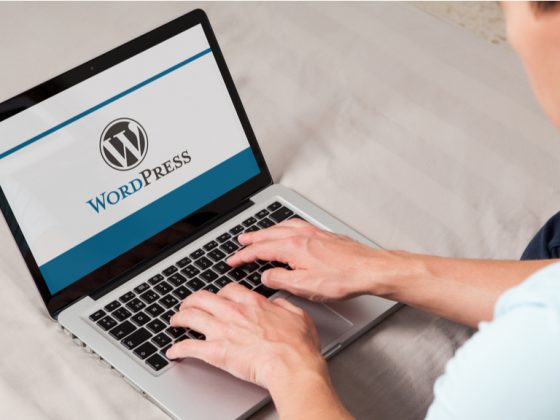 WordPress, CMS